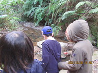 令和3年12月28日　県民の森　渓流散策