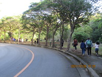 令和3年12月28日　県民の森　渓流散策