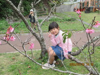令和6年1月26日八重島公園へ桜をみにいこう