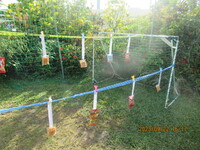 R05/09/22　プールで〇〇だ！