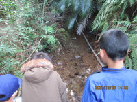 令和3年12月28日　県民の森　渓流散策