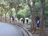 令和3年12月28日　県民の森　渓流散策