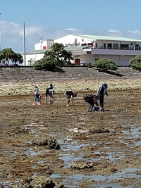 R04/04/05 しおひがり