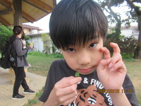 R05/03/10　ゴミ拾い＆ウォーキング