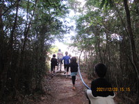 令和3年12月28日　県民の森　渓流散策