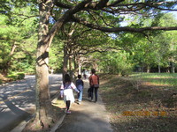 令和3年12月28日　県民の森　渓流散策