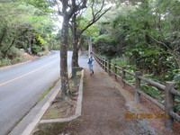 令和3年12月28日　県民の森　渓流散策