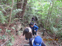 令和3年12月28日　県民の森　渓流散策