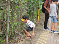 R06/04/12美化作業＆ウオーキング