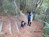 令和3年12月28日　県民の森　渓流散策