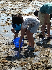 R04/04/05 しおひがり