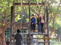 令和3年12月28日　県民の森　渓流散策