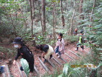 令和3年12月28日　県民の森　渓流散策