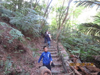 令和3年12月28日　県民の森　渓流散策