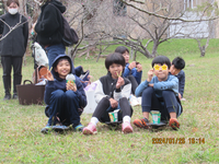 令和6年1月26日八重島公園へ桜をみにいこう