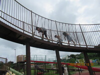 R05/06/23　中城公園にいこう