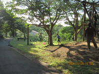 令和3年12月28日　県民の森　渓流散策