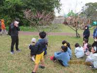令和6年1月26日八重島公園へ桜をみにいこう
