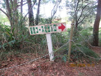 令和3年12月28日　県民の森　渓流散策