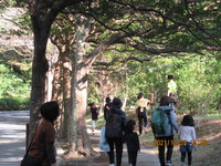 令和3年12月28日　県民の森　渓流散策