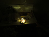 R03/03/05　サンゴの日　ランプ製作