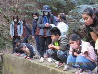 令和3年12月28日　県民の森　渓流散策