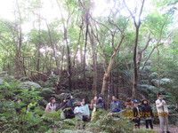 令和3年12月28日　県民の森　渓流散策
