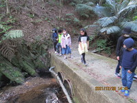 令和3年12月28日　県民の森　渓流散策