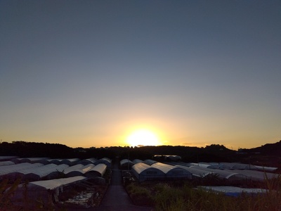 2026朝日