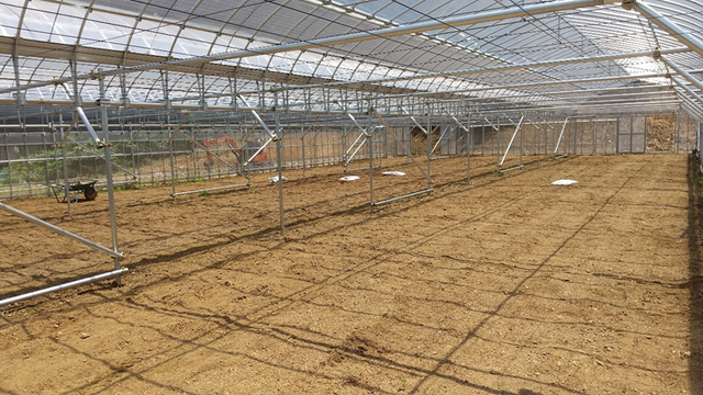 K様ぶどうハウス