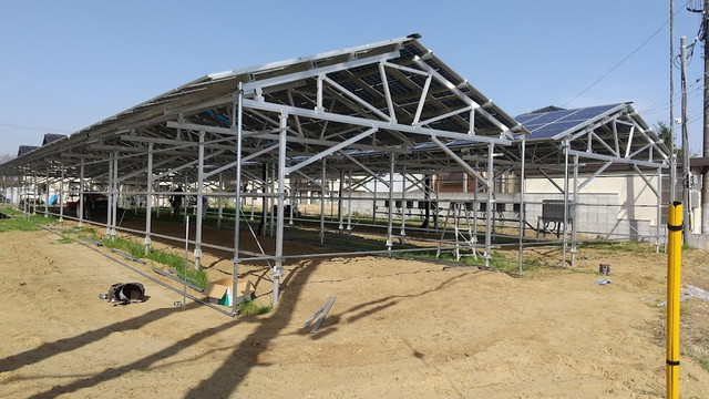 太陽光パネル下　ハウス工事2