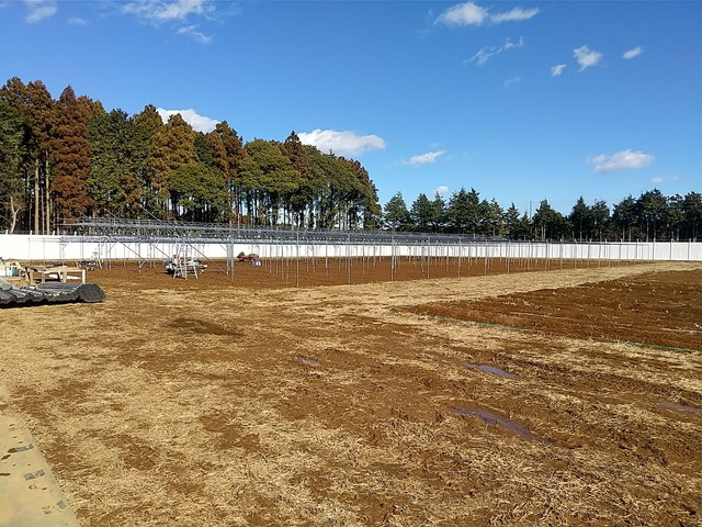 生産用パイプハウス