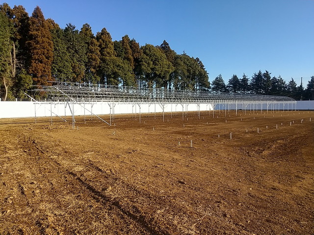 生産用パイプハウス