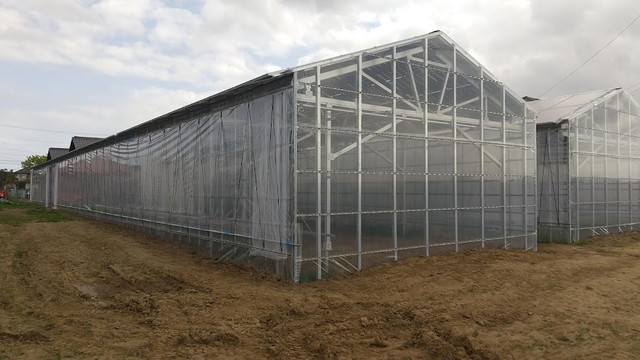 太陽光パネル下　ハウス工事3