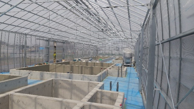 B様養魚用鉄骨ハウス