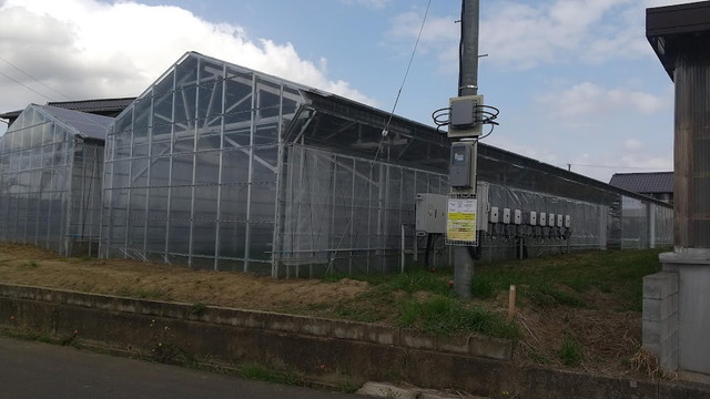 太陽光パネル下　ハウス工事４