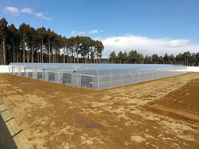 生産用パイプハウス