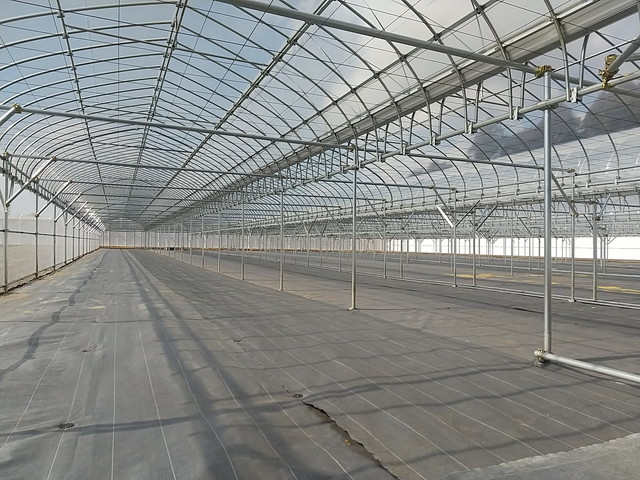 生産用パイプハウス