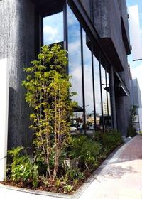 某銀行植栽工事