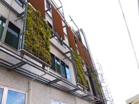 壁面緑化メンテ　着工前