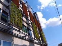 壁面緑化メンテ　着工後