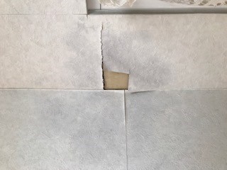 【横浜市瀬谷区での雨漏りの修理】現地調査の様子①