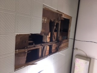 【横浜市泉区での雨漏りの修理】天井へ開口部を作りさらに調査