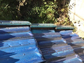 【横浜市保土ヶ谷区での雨漏りの修理】現地調査の様子①