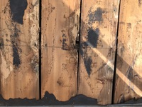腐食した垂木②