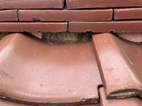 経年劣化で表面の漆喰が剝れ中の泥がむき出しになった棟瓦