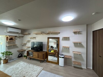 今日は壁面を活用したキャットステップ・キャットウォークの施工を行いました！のイメージ