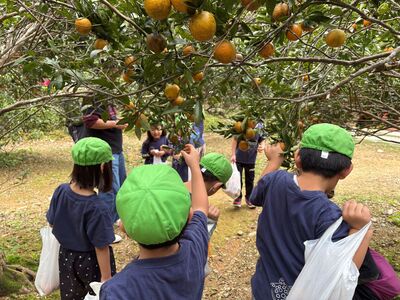 ガジマル保育園