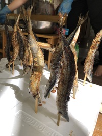 ガジマル保育園