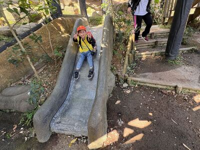 ガジマル保育園